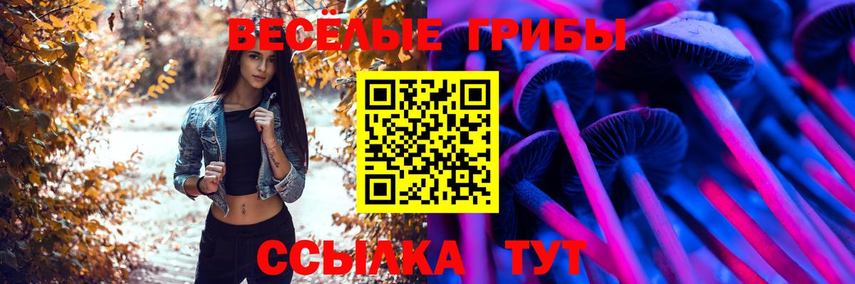 Псилоцибиновые грибы ЛСД Ипатово
