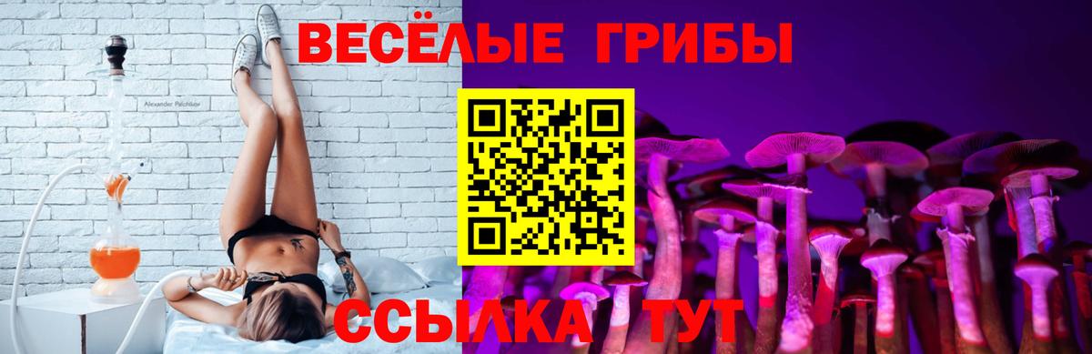 Галлюциногенные грибы Psilocybine cubensis  Псилоцибиновые грибы Psilocybe  Вход с VPN  Ипатово 